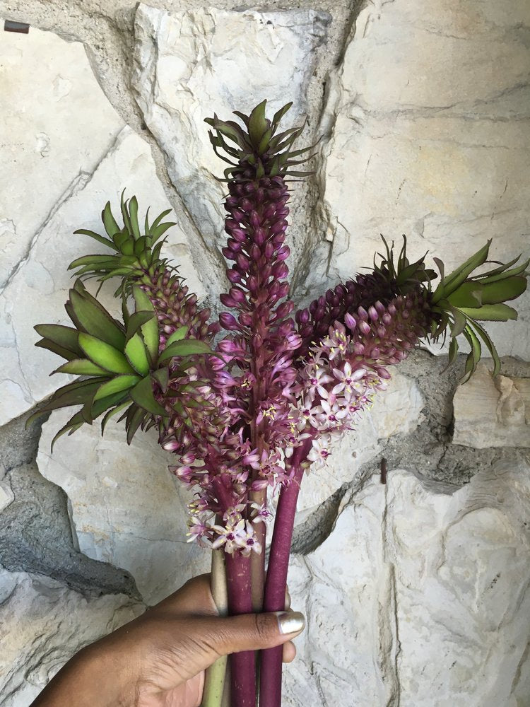 Flowerboy Project Flower Arrangement